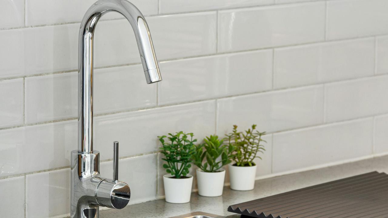 Pocos lo saben: qué significa colocar una planta en la mesa de la cocina 